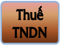 pic_thue_TNDN